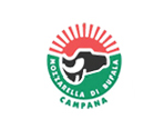 Mozzarella di bufala campana