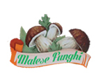 Matese funghi